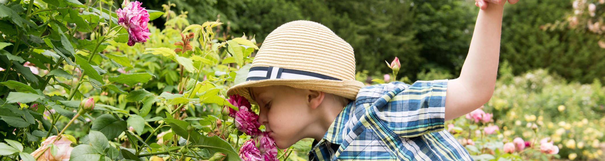 Boy smelling the roses