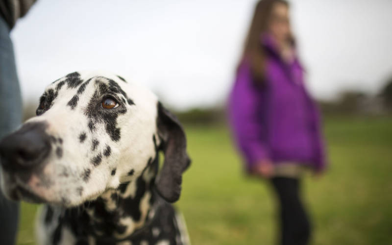 Family walking dog in grounds