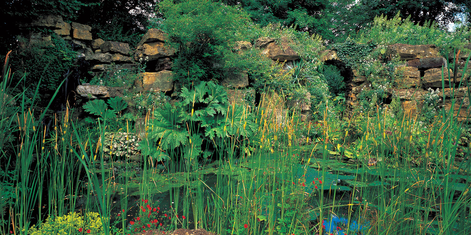 Water Garden