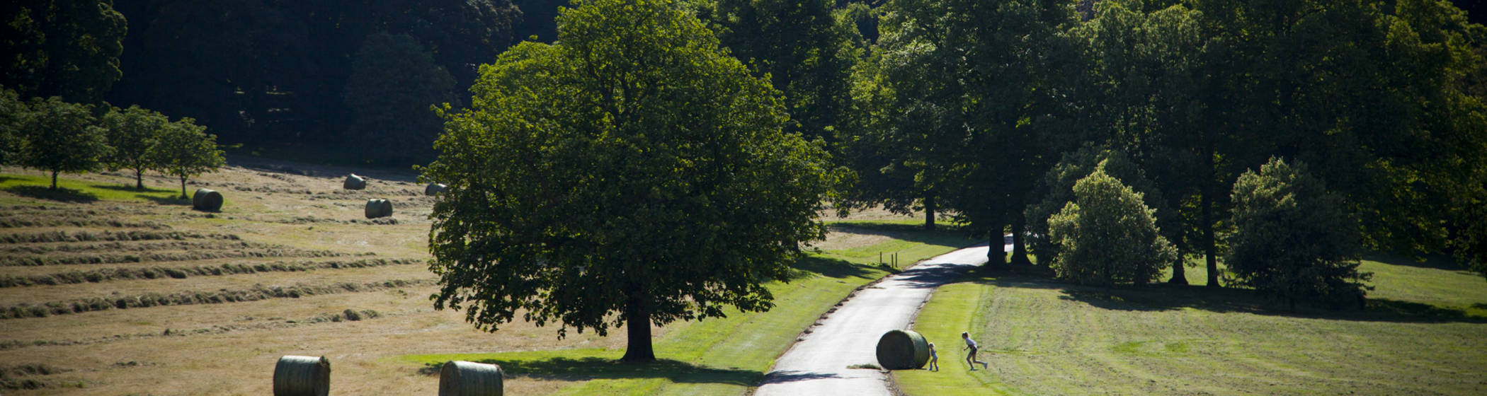 Estate drive with bales