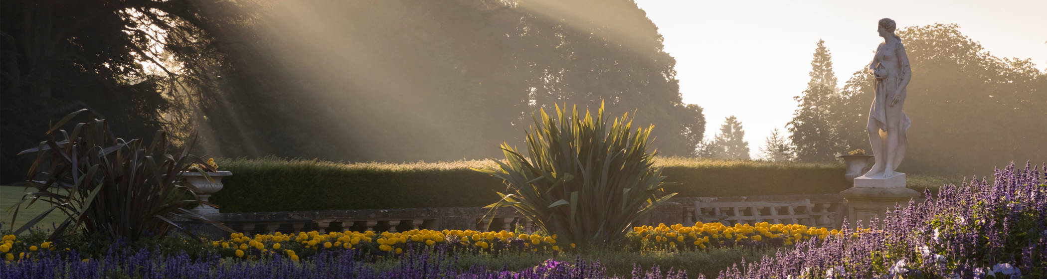 Misty parterre