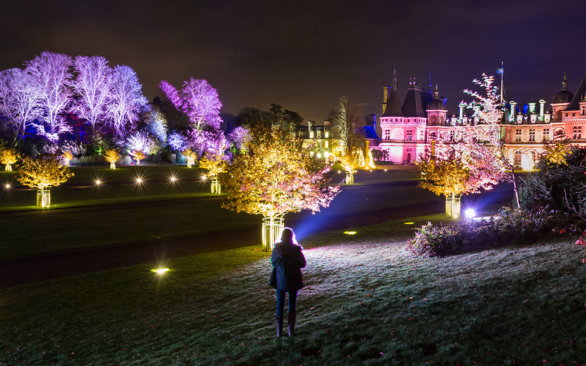 Accessibility at Christmas and Winter Light Waddesdon Manor