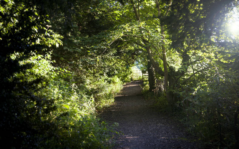 estate wooded pathway Sasa Savic ©Rothschild Foundation, Waddesdon Manor