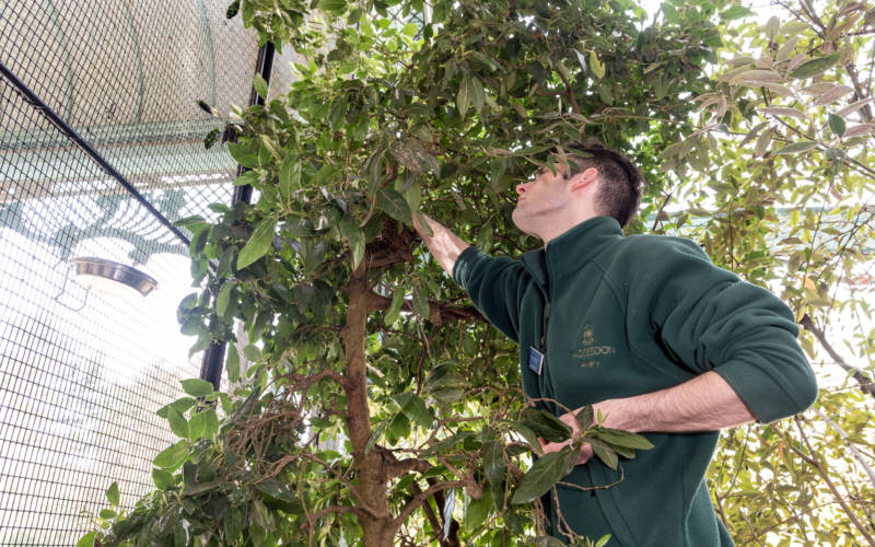 work-with-us-aviary-3000-1875