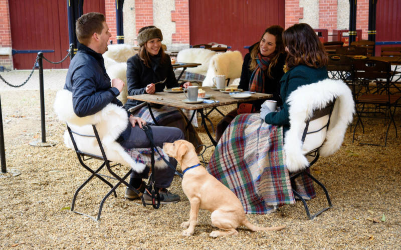 Hygge-stables-coffee-dogs-cumberbatch-3000x1875