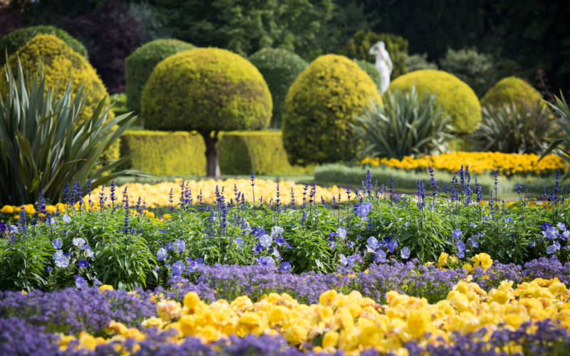 yellow-blue-parterre-3000-1875