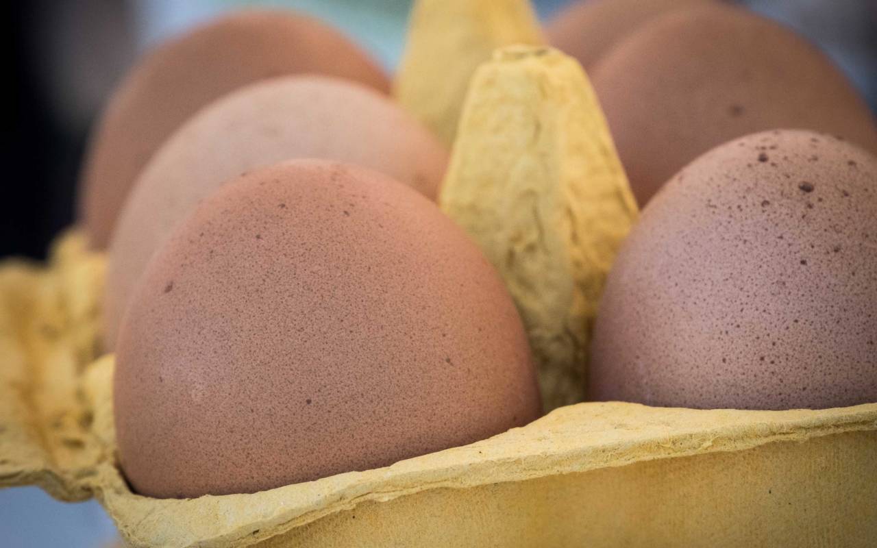 Eggs, Artisan Food Market