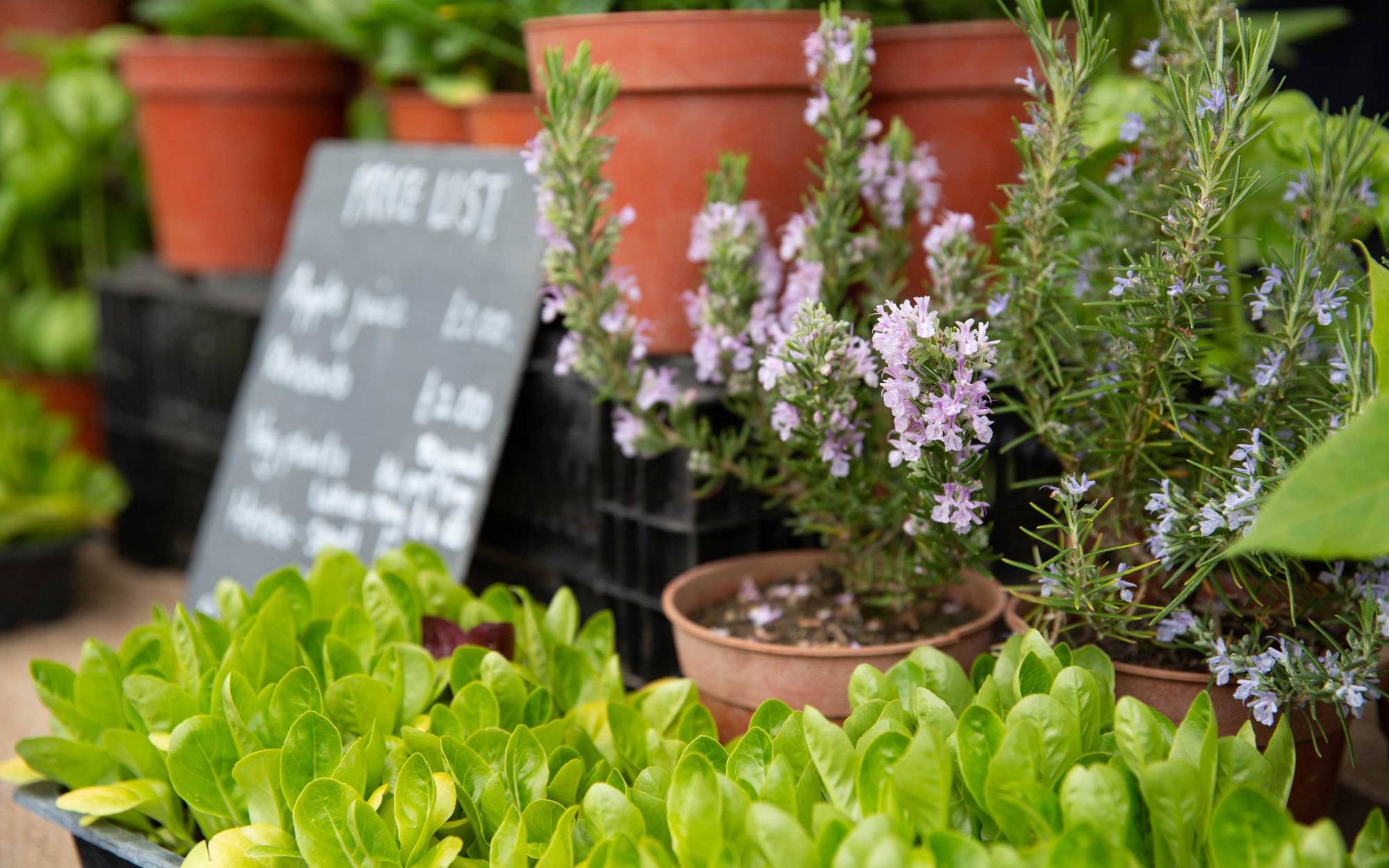 Artisan Food Market Waddesdon Manor