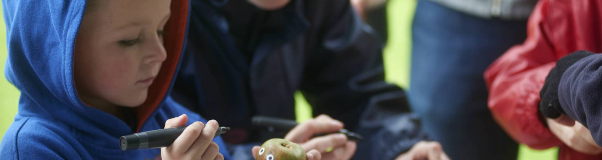 Children taking part in crafts with organic materials at a National Trust property