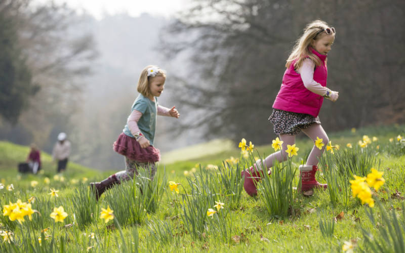 Children running through the daffodils