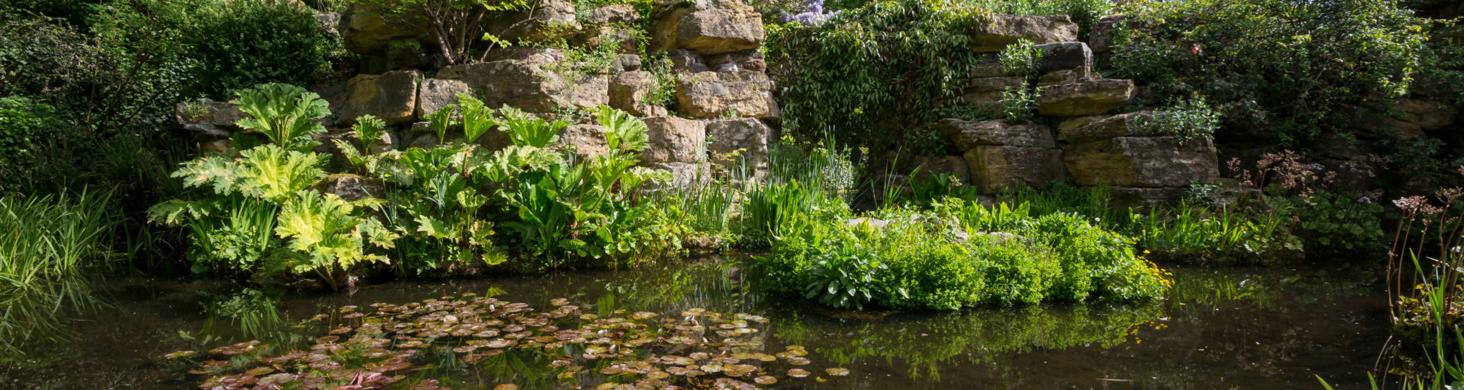 Dairy Water Garden today
