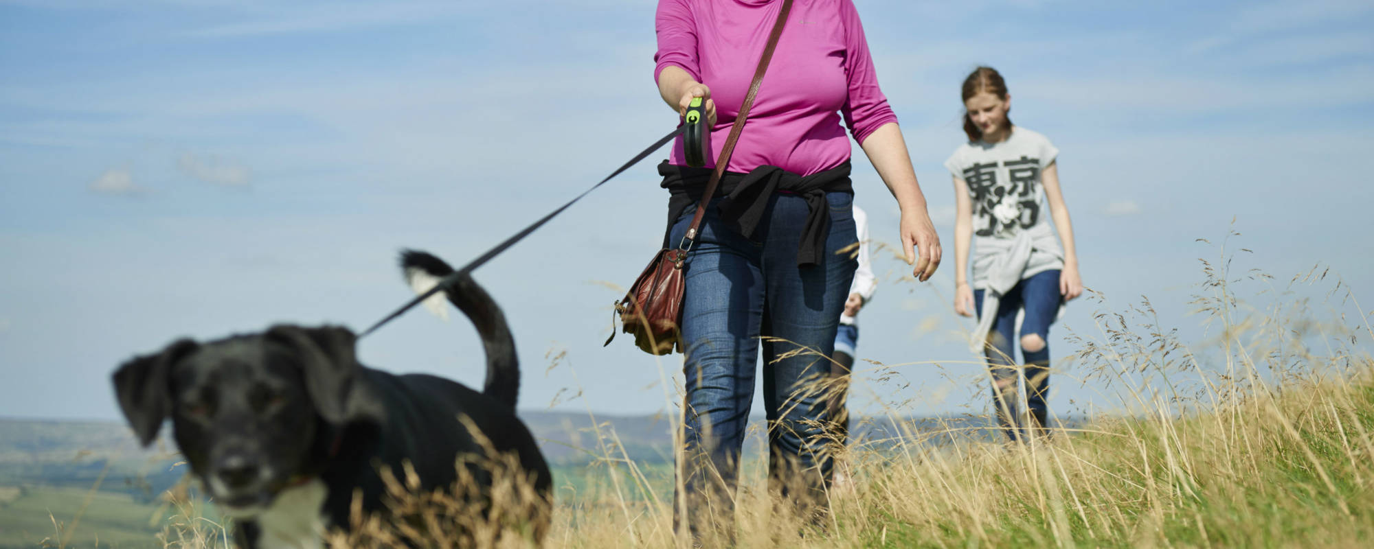 Dog walk