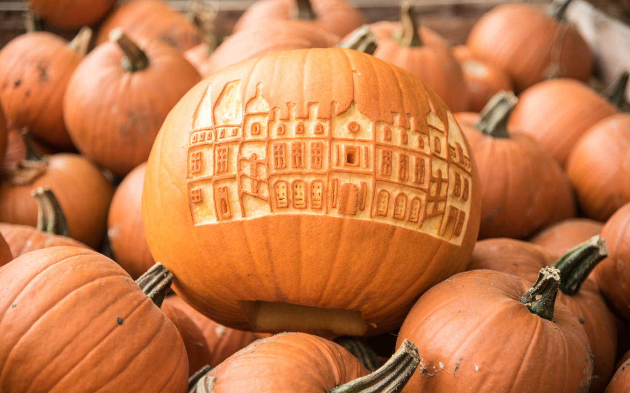 Pumpkins at Waddesdon