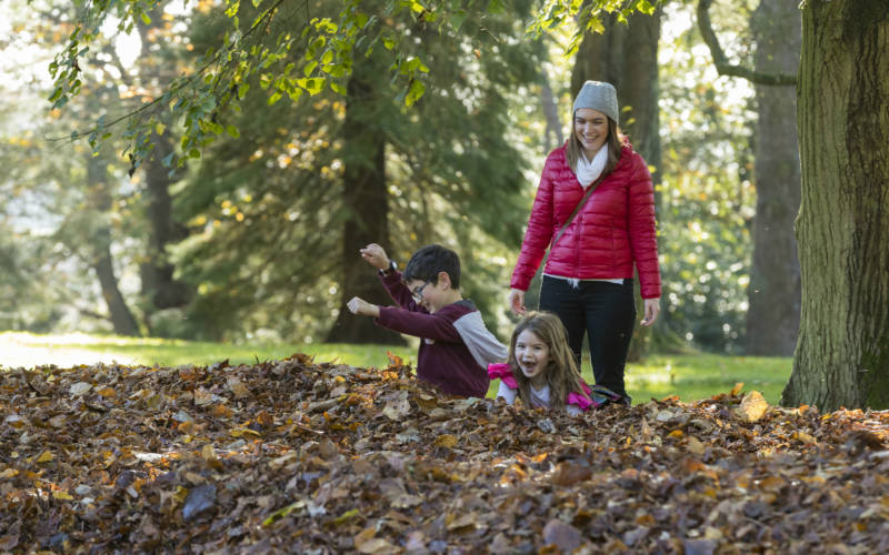 Children playing in autumn leaves at Waddesdon