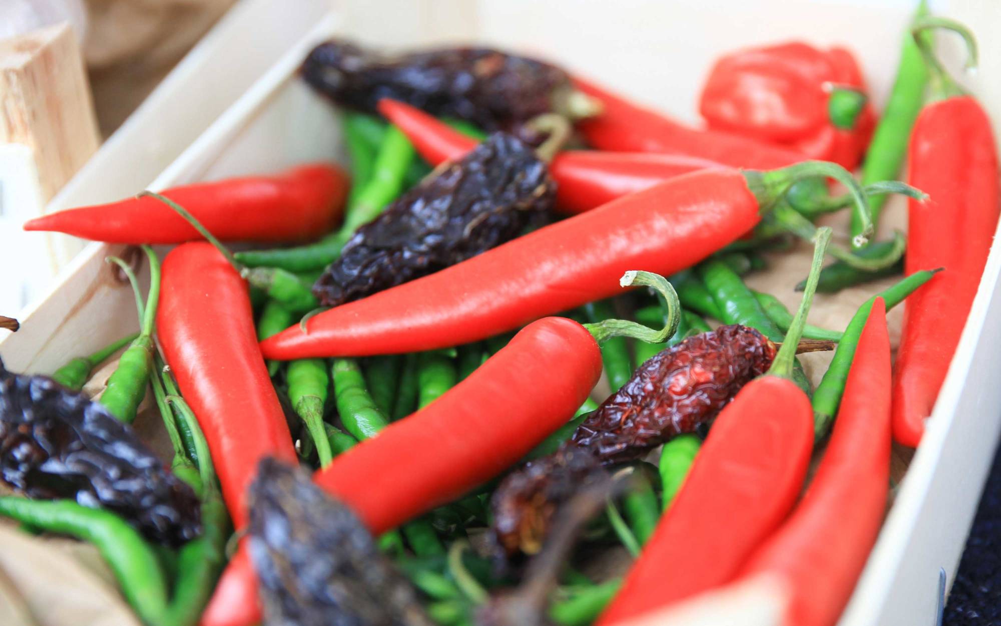 Chilli Fest
