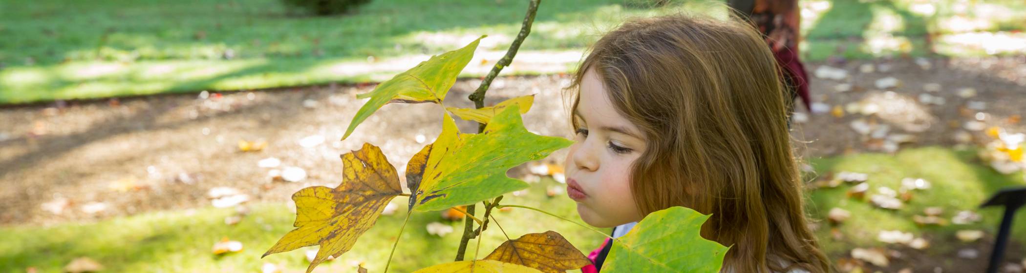Girl blowing on leaf