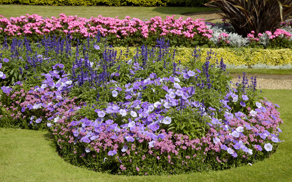 Colourful Bedding Gardening Walk – Waddesdon Manor