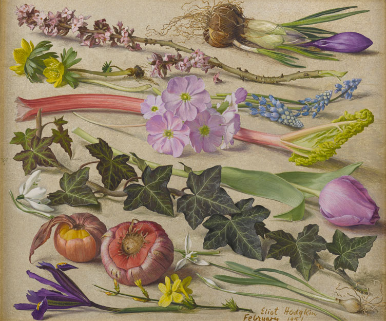 Painting of a selcetion of fruit and flowers