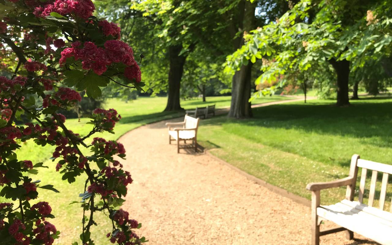 View of half moon path with bench seating