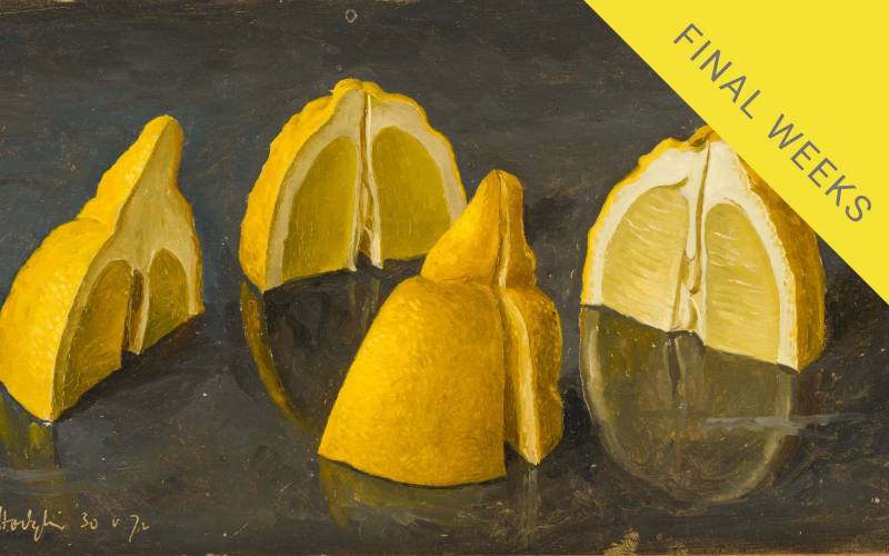 Painting of cut lemon