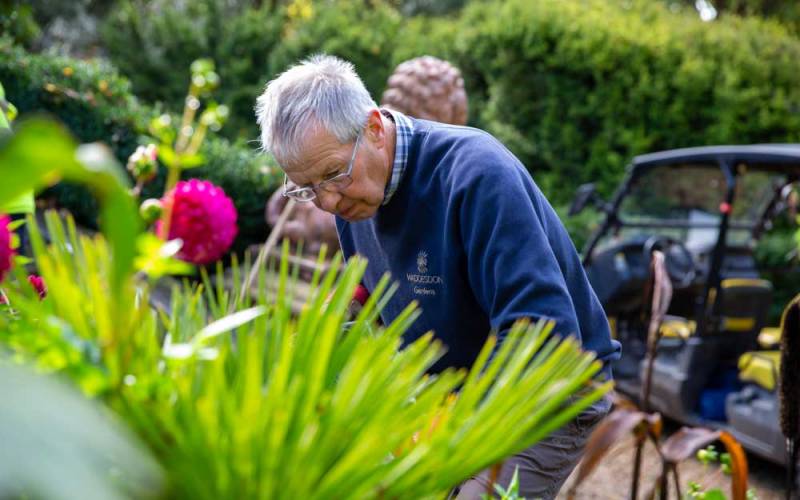 Volunteer-with-us-gardening-4