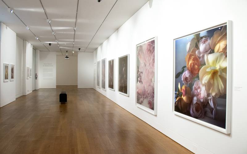 Nick Knight Roses from my Garden exhibition installation 3 Waddesdon 2020 Photo (c) Waddesdon Image Library, photographer Sophia Cliffe