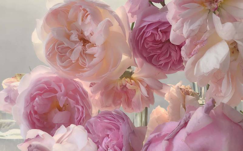Nick Knight Friday 8th June, 2018 Hand-coated pigment print © Nick Knight Courtesy of the Artist and Albion Barn (3)