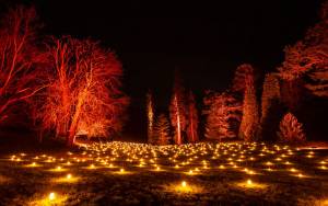 Flame Valley on the Winter Light trail at Waddesdon