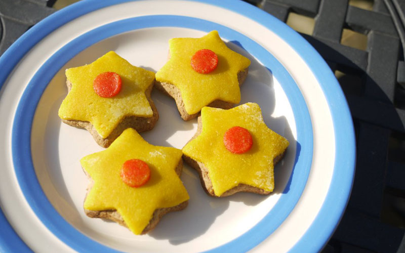 learning-resource-families-daffodil-biscuits-800-500