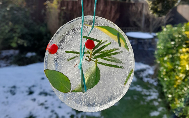 learning-resources-families-hanging-ice-decorations-2-800-500