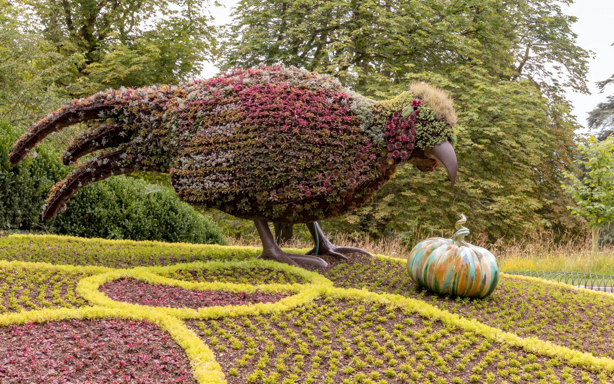 3D pheasant